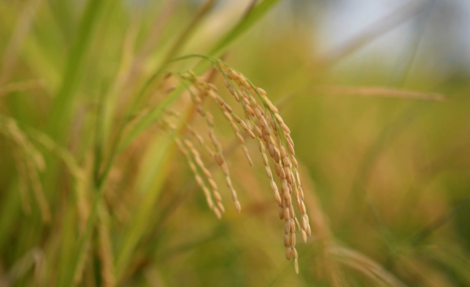 1761643119599683.png image.png