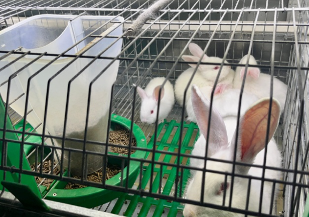 1761819615869606.png image.png